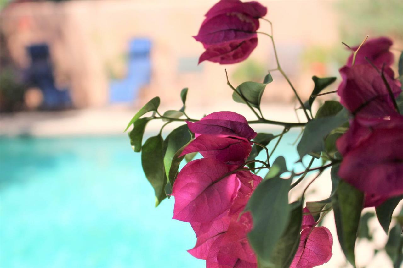 Adobe Rose Inn Tucson Ngoại thất bức ảnh