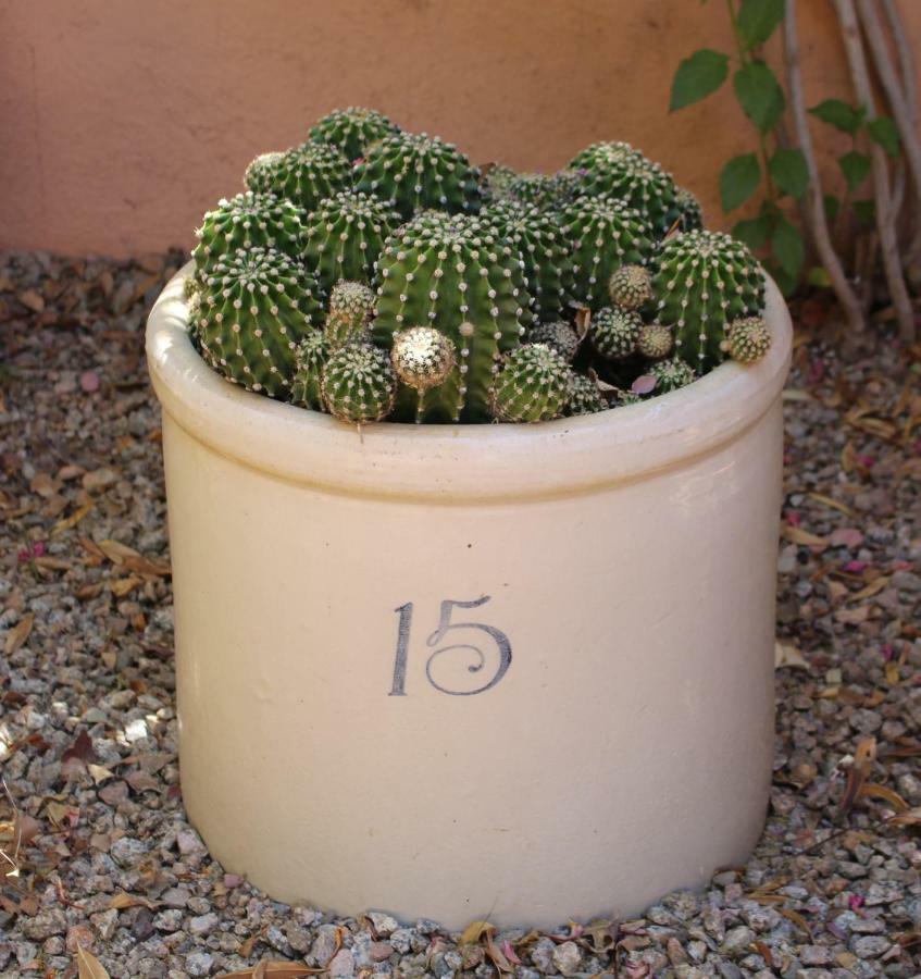 Adobe Rose Inn Tucson Ngoại thất bức ảnh