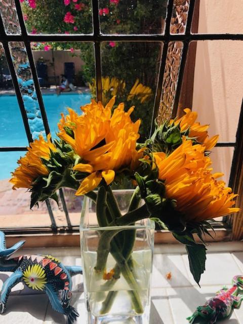 Adobe Rose Inn Tucson Ngoại thất bức ảnh